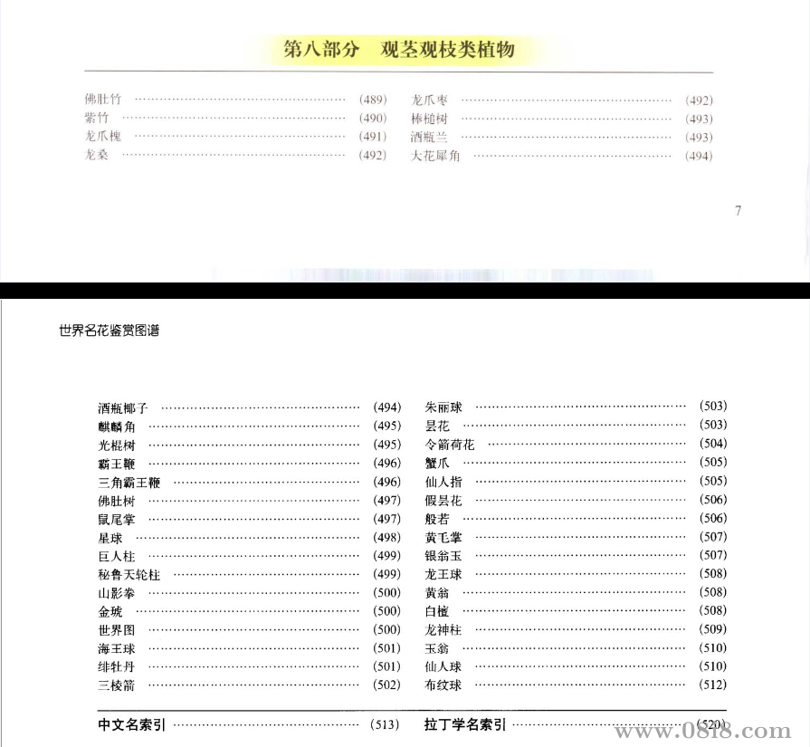 世界名花鉴赏图谱