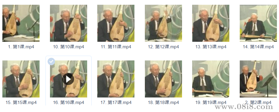 琵琶视频教程合集新手入门到精通全套零基础自学训练教学视频