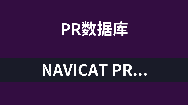 Navicat Premium 12绿色中文版（多种数据库管理工具）