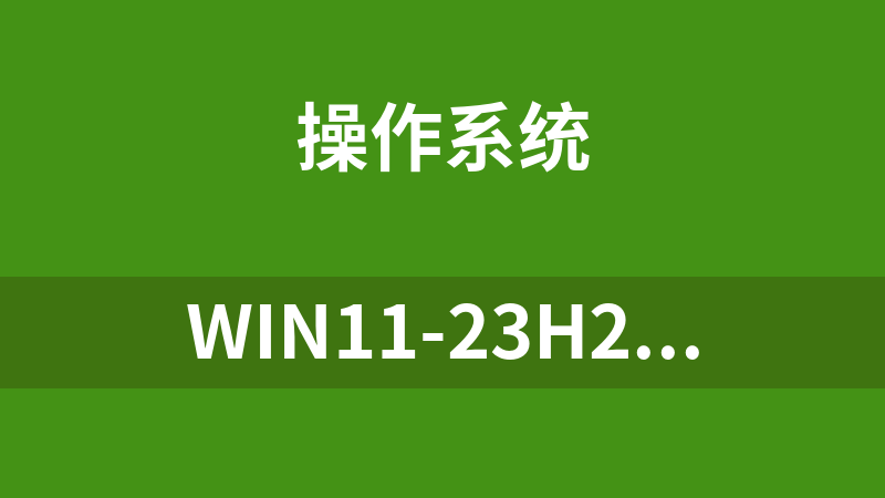 WIN11-23H2-11-1.iso