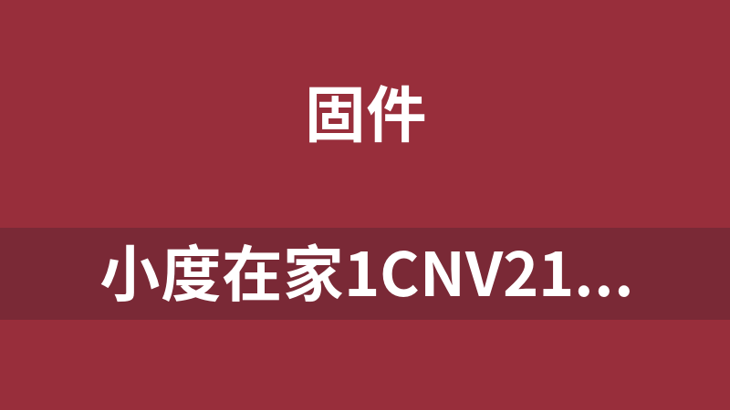 小度在家1CNV2101