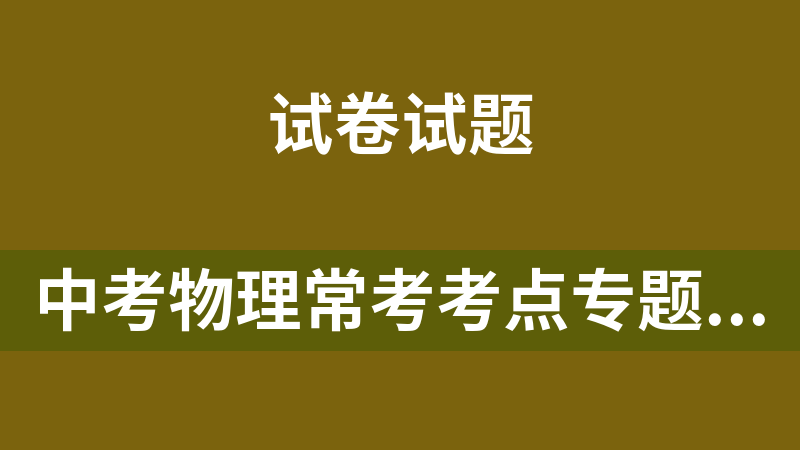 中考物理常考考点专题20套