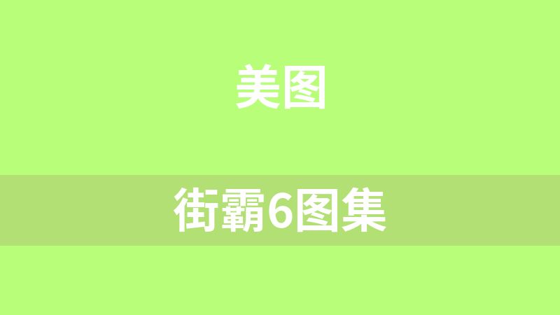 [免费]街霸6图集