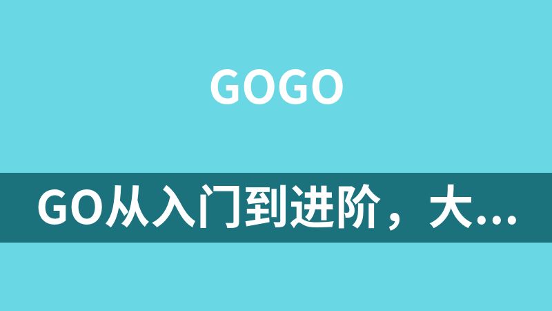 Go从入门到进阶，大厂案例全流程实践(完结)