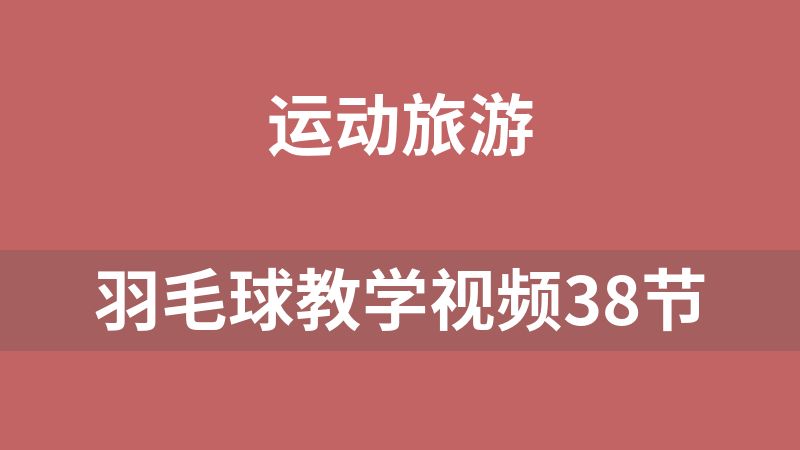 羽毛球教学视频38节