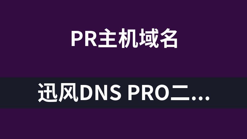 迅风DNS Pro二级域名分发全新V3.1.2系统源码