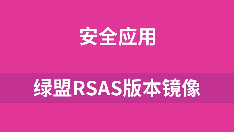 绿盟RSAS版本镜像