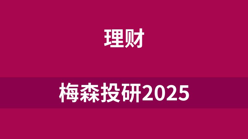 梅森投研2025