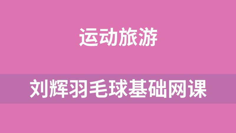 刘辉羽毛球基础网课