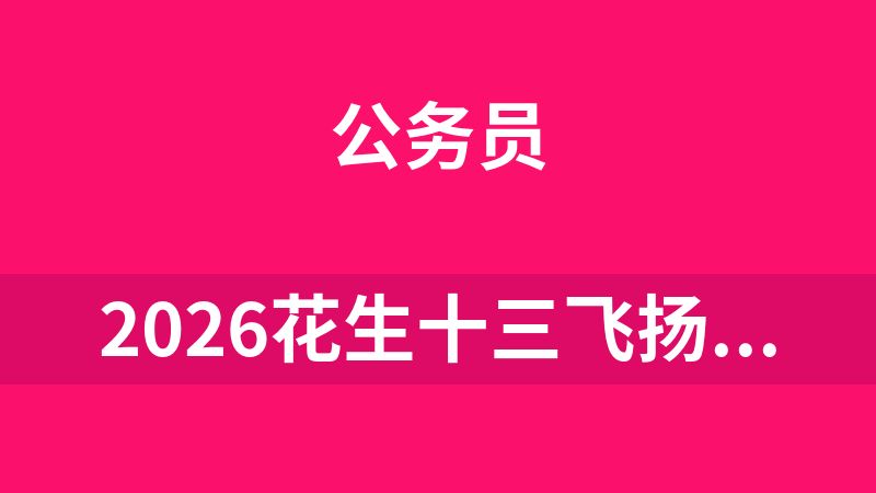 2026花生十三飞扬笔试系统班1003