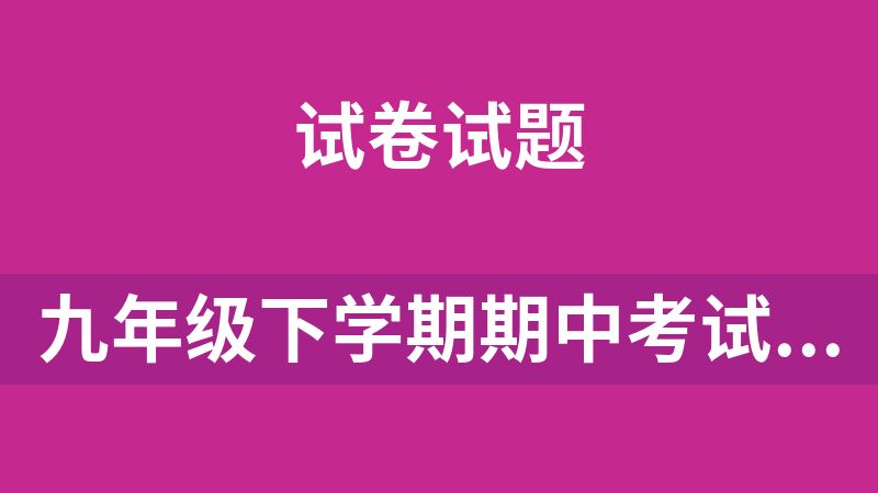 九年级下学期期中考试化学试卷