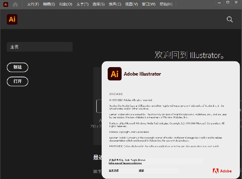 Adobe Illustrator 2021(免激活AI2021)中文共享版