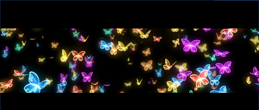 飞舞的蝴蝶裸眼3D全息视频