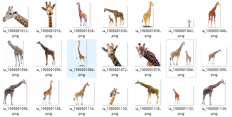 143种动物5000多张免抠PNG图片素材
