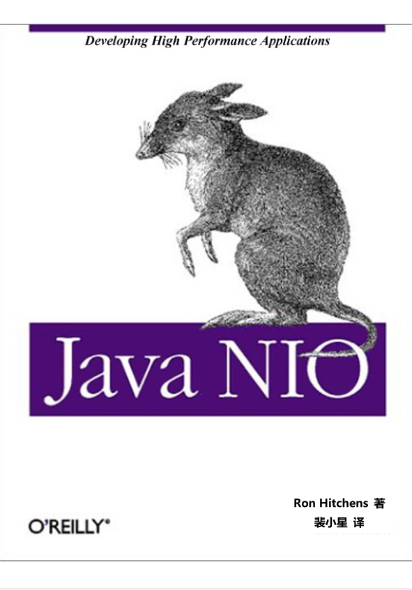 Java NIO中文版