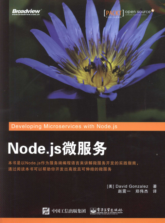 Node.js微服务 完整pdf_前端开发教程