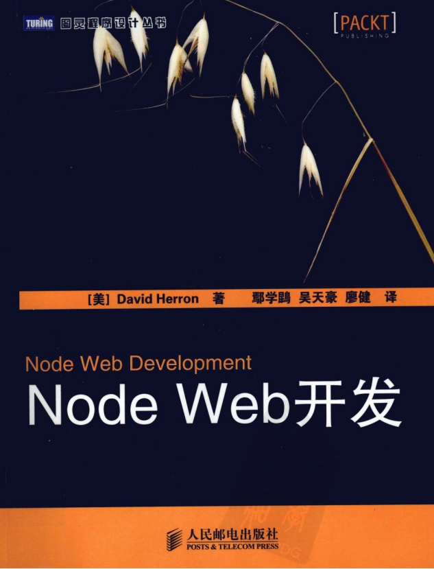 Node Web开发 中文PDF_前端开发教程