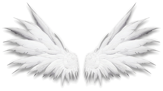天使的翅膀羽毛高清免抠图（9张）