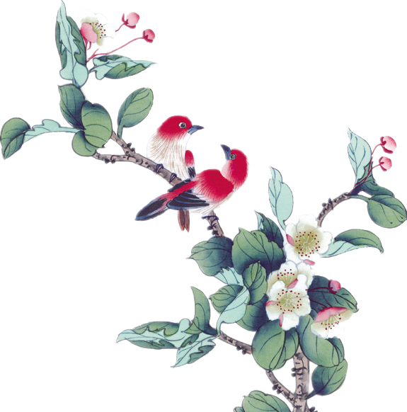 一对鸟儿在枝头说话水彩图片