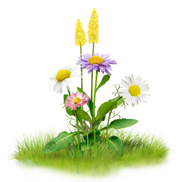 花卉 草皮