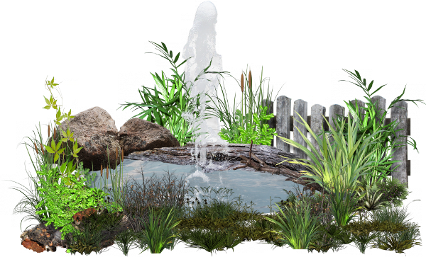 喷泉 篱笆 草皮