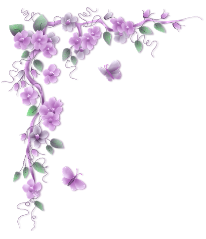 紫色小花儿