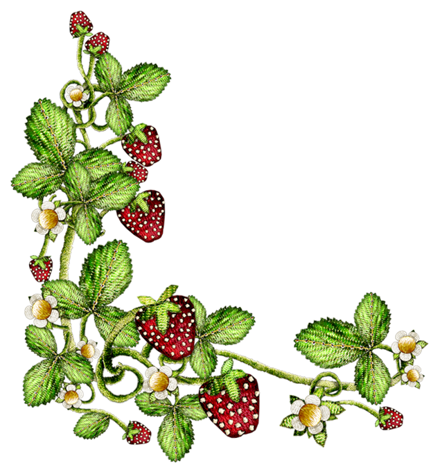 编织艺术草莓藤蔓修饰png图片