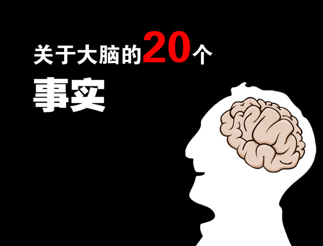 关于大脑的20个事实——了解大脑职场培训的ppt模板